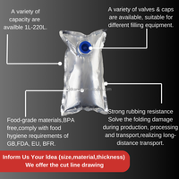 Sac en carton aseptique transparent de 10L et 20L avec valve BIB pour liquides (œufs liquides, sauce tomate, ketchup, boissons, jus, sirop) – Utilisation en fût