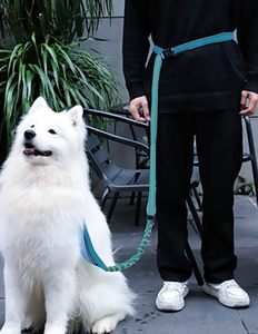Heavy Duty Dog <b>Leashes</b> With Bungee and 2 Handles No Pull Shock Absorbing Dog <b>Leash</b> with Car Seat Belt for Training - Product Image 3