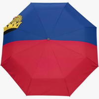 Parapluie pliant entièrement automatique de haute qualité, motif drapeau de Lituanie, série à thème national, performance supérieure globale