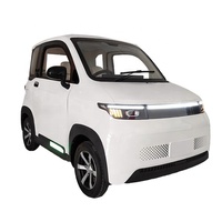 Voitures électriques certifiées L6e avec sièges côte à côte à l'avant, véhicules à énergie nouvelle pour les personnes âgées