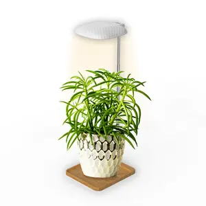 LED kapalı mekan büyütme ışığı bahçe kiti saksı bitkileri kapalı bitkiler için kapalı çiçekler Succulents ev ve ofis için Promotor