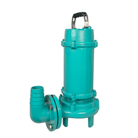 Pompe à eau d'égout immergée OEM personnalisable WQ 75kw acier inoxydable haute pression et matériau en fonte pour eaux usées"