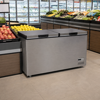 Réfrigérateur horizontal, congélateur coffre commercial, refroidissement direct, compresseur simple, dégivrage manuel, 220V, économie d'énergie