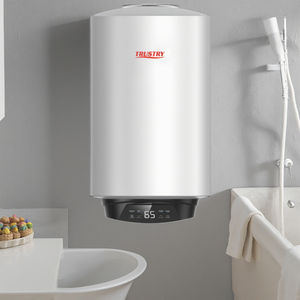 <span class=keywords><strong>Chauffe</strong></span>-<span class=keywords><strong>eau</strong></span> électrique de stockage thermique chaud de réservoir d'<span class=keywords><strong>eau</strong></span> automatique <span class=keywords><strong>vertical</strong></span> de 50l - Product Image 3