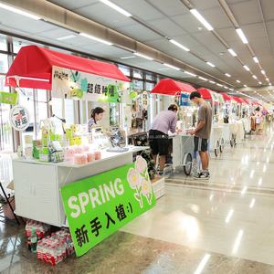 Nouveau stand de cuisine mobile sur roues pour snacks de rue, chariot pour centres commerciaux, marché nocturne, chariot de restauration, stand de marché extérieur - Product Image 3