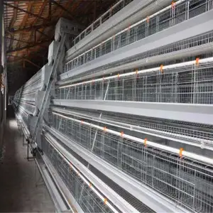 Large-scale farm livestock and poultry feeding equipment A-type battery cage chicken cage laying hen or broiler cage