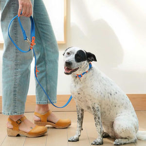 Sunraymascota Katı Makaron Özel Tasarım Lüks Su Geçirmez PVC Köpek Tasması ve Tasma Seti Eğitim ve Yürüyüş İçin - Product Image 6