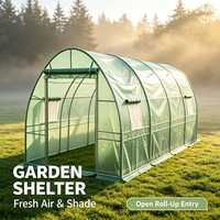 Mini serre en métal, serre agricole, dôme géodésique, serre portable d'extérieur pour jardin potager