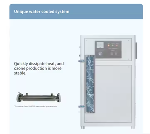 Machine de <span class=keywords><strong>traitement</strong></span> de l'eau 100G 20G 40G 60G <span class=keywords><strong>piscine</strong></span> WWT source d'oxygène générateur d'ozone pour le <span class=keywords><strong>traitement</strong></span> des eaux usées - Product Image 6