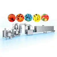 Hoogprecisie 150-600kg/u PLC-gestuurde CE-gecertificeerde vitamine gummy maker, machine voor het produceren en verpakken van center-filled gummies