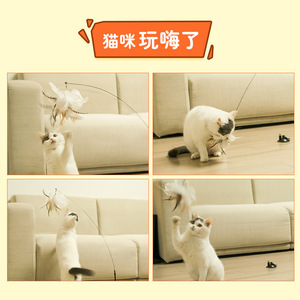 ของเล่นแมว, ไม้ล่อแมวแบบมีสาย, ไม้ขนนก, ถ้วยดูดติดผนัง, อุปกรณ์สำหรับลูกแมว, อุปกรณ์บันเทิงสำหรับแมว - Product Image 3