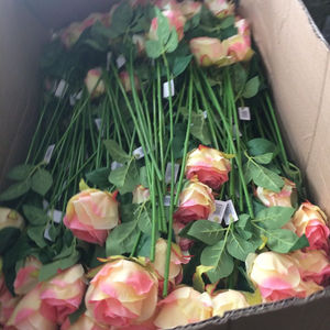 <span class=keywords><strong>2023</strong></span> maison mariage unique fleur longue tige vraie touche soie Roses roses artificielles réaliste fleur Roses noël fête des pères - Product Image 1