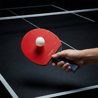 Ensemble de raquettes de ping-pong portables de niveau professionnel Taspo, en bois de peuplier noir durable et élastique, base en 17 couches, respectueux de l'environnement