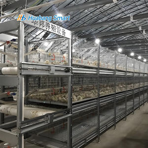Система клетка для птицы H-типа, автоматическая клетка для кур - Product Image 4