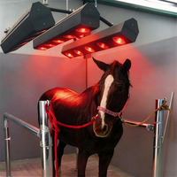 Système de luminothérapie infrarouge pour chevaux, lampe rouge équine, équipement de relaxation musculaire pour la récupération des chevaux de course
