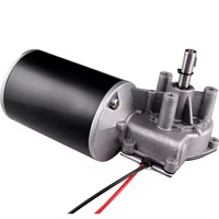 Moteur à vis sans fin CC à faible vibration, sélection de puissance multiple 12V 24V 48V, 100W 120W 150W 180W, vitesse stable, certifié CE ROHS