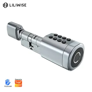Liliwise Tuya Ttlock Fingerprint Lock Adjustable WiFi BLE Digital Door Lock Smart Cylinder With Mechanical Key