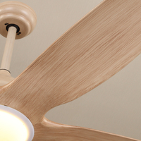 C255 Ventilateur de plafond de 48/62 pouces avec kit d'éclairage avec télécommande Ventilateur en ABS à 5 pales