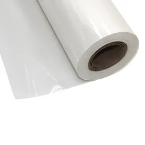Electrical transparent flexible pet mylar film customized size milky white motor insulation film 6021 polyester film