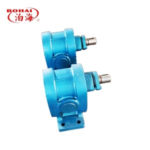2CY Low-Speed Self-Priming Stainless Steel Gear Straight Tooth Type Transfer Oil <b>Pump</b> for Biofuel Industry - Product Image 5