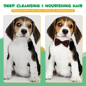 Custom Logo Disposable Pet Grooming Gloves Wipes White Hypoallergenic Pet Cleaning Gloves Wet Wipes for Dogs and Cats - Product Image 2