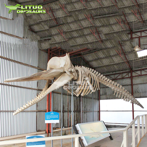 Park Vierkante Strand Landschap Display Decoratie Gigantische Dieren Walvis Skelet Fossiel - Product Image 5