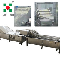 Complete IQF productielijn voor Franse frieten 500kg/u voor de verwerking van aardappelchips, diepvriesfrieten, snijden, wassen, blancheren en frituren