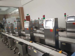 Báscula Dinámica de Alto Rendimiento Personalizable OEM con Detector de Metales y Pantalla LCD - Product Image 5