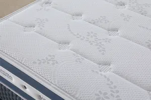 Sleep Well Number 1 Independent Bag Spring Fire-resistant Cotton Mattress