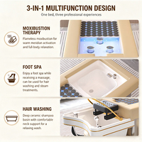 Table de massage professionnelle pour salon de coiffure, lit de lavage, spa, thérapie aquatique chauffante, pédicure, structure en acier inoxydable, cuir PU