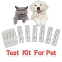 Test rapide EHR, kit de test EHR Erlichia Canine, kit de typage sanguin pour chiens/chats, équipement de diagnostic vétérinaire pour animaux de compagnie