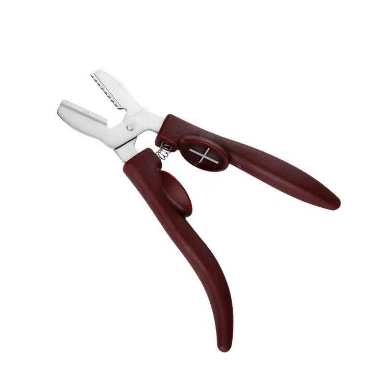 สีน้ำตาล