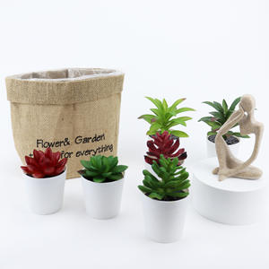 Mini flores de plástico decoradas <span class=keywords><strong>Echeveria</strong></span> Violet Queen plantas suculentas de cerámica en maceta para decoración de casa interior - Product Image 3