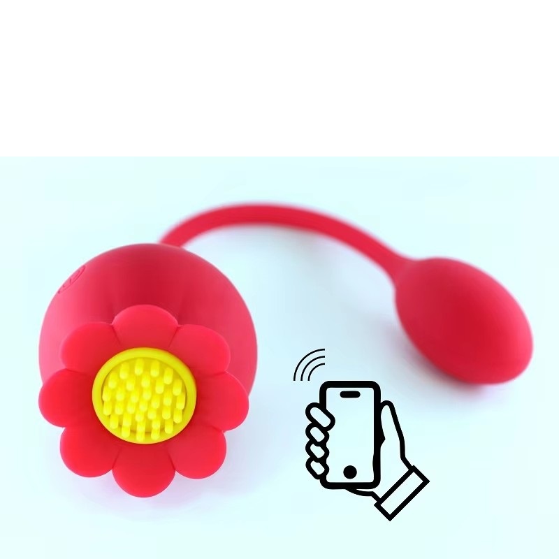 rose BQ531 APP