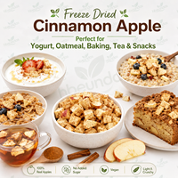 Kaneelappel Vriesgedroogde Appelschijfjes Knapperige Snack voor Cereal Oatmeal
