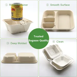 कस्टम सेवा Biodegradable खाद गन्ना खोई लुगदी 5 डिब्बे ढक्कन के साथ भोजन ट्रे