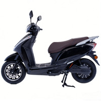 Vélo Électrique Haute Performance God Wealth pour l'Exportation Transfrontalière, avec Assistance au Pédalage, Vitesse Maximale de 60 km/h et Grande Autonomie
