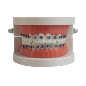 Giapi ortodontico ortodontico dentale staffa arco filo Multi-Purpose per l'igiene orale bretelle alla moda ortodontico dentiera decoro - Product Image 3
