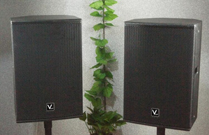 Vant rm12.1 300w लकड़ी आउटडोर मॉनिटर संगीत स्टूडियो के लिए होम पेशेवर उपयोग - Product Image 2