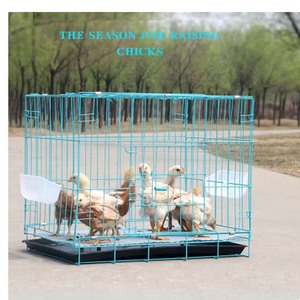 60X42X52cm sélection automatique ferme clôture poule métal maille oeuf poulailler pour élevage de volailles et maison poule poulet Cage - Product Image 3