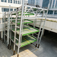 Système de stationnement de voitures à circulation multi-niveaux Tabitha, capacité de charge de 2000 kg, garantie de 5 ans, origine Shandong, fournisseur d'or PDX