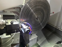Affilatrice Automatica per Lame TCT per Lavorazione del Legno, per Taglio e Rettifica di Ingranaggi