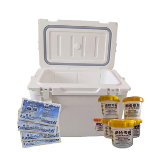 Plastic Cooler Box Wholesale Cooler Box for Camp Picnic Outdoor