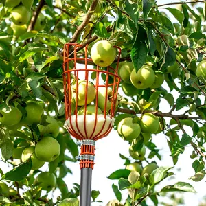 אדום כף יד פירות פיקר רובוט דובדבן פירות פיקר פירות פיקר מקלות - Product Image 6