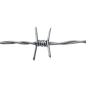 Fil de fer en acier inoxydable de haute qualité, rouleau de 250 m ou 500 m, clou, résistant à la rouille, galvanisé, grillage <span class=keywords><strong>barbelé</strong></span>, marché sud-américain, paire torsadée - Product Image 6