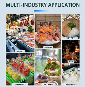 Machine à glace commerciale <span class=keywords><strong>de</strong></span> flocon <span class=keywords><strong>de</strong></span> neige <span class=keywords><strong>de</strong></span> 800kg pour les plateaux <span class=keywords><strong>de</strong></span> fruits <span class=keywords><strong>de</strong></span> <span class=keywords><strong>mer</strong></span> et les boissons froides 220v avec le composant <span class=keywords><strong>de</strong></span> noyau <span class=keywords><strong>de</strong></span> pompe - Product Image 4