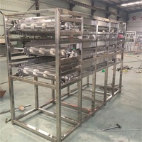 Séchoir industriel d'épices à micro-ondes Séchoir à tunnel en acier inoxydable pour la fabrication de restaurants de poudre de piment