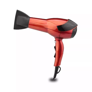 Secador de Pelo Profesional de Marca Privada Personalizado para Salón, Plancha de Pelo Personalizada - Product Image 1