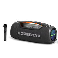 Enceinte portable Hopestar A60 100W IP67, enceinte trois voies avec 1 micro sans fil, lumière RGB pour la maison, les fêtes, le camping SODLK S1621