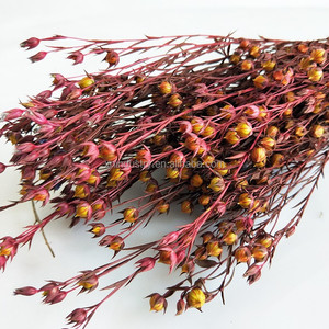 Fiore dell'Amore Eterno, Fagiolo di Acacia dello Yunnan, Regalo Artigianale, Ingredienti Fiore dell'Amore Eterno, Fagiolo Ricco e Prosperoso, Fagiolo di Canapa - Product Image 5
